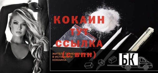 дживик Белокуриха