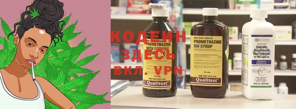 дживик Белокуриха