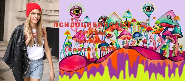 дживик Белокуриха