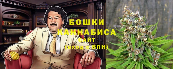 индика Балабаново