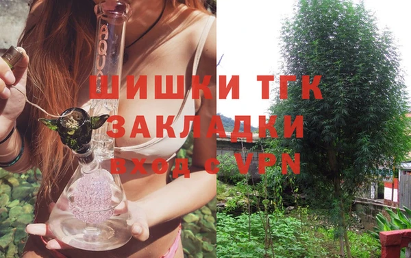 дживик Белокуриха