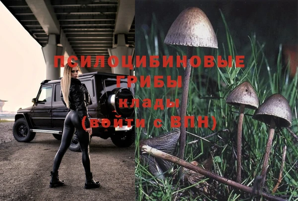 дживик Белокуриха