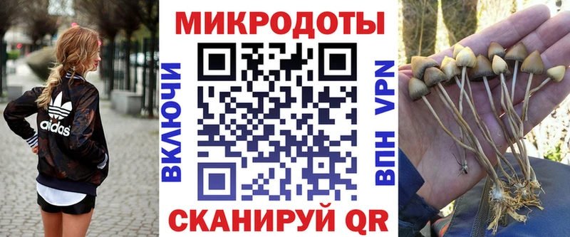 Псилоцибиновые грибы мицелий Высоковск